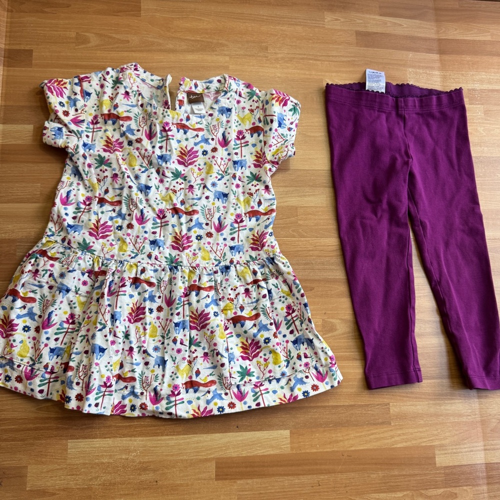 Tea collection set size 2/3 dress and purple leggings short sleeve cotton